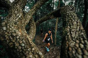 BIB: 
                            <button type="button" onclick="openModal(25392966)" class="btn btn-primary btn-sm float-right btn-popup" data-toggle="modal" data-target=".modal-high-quality">
                        <i class="fas fa-shopping-cart"></i> Add to Cart
                    </button>
                                            <button type="button" onclick="isThisMe(25392966, true)" class="btn btn-success btn-sm float-right btn-popup btn-isme hidden" data-toggle="tooltip" data-placement="bottom" title="นี่คือรูปของคุณใช่ไหม คลิกที่นี่เพื่อเอาเข้าอัลบั้ม">
                        <i class="fas fa-plus"></i> Add to album
                    </button>
                    <button type="button" onclick="isThisMe(25392966, false)" class="btn btn-warning btn-sm float-right btn-popup btn-isnotme hidden">
                        <i class="fas fa-ban"></i> Remove from album
                    </button>